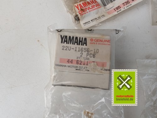 PXL_20240528_173541390